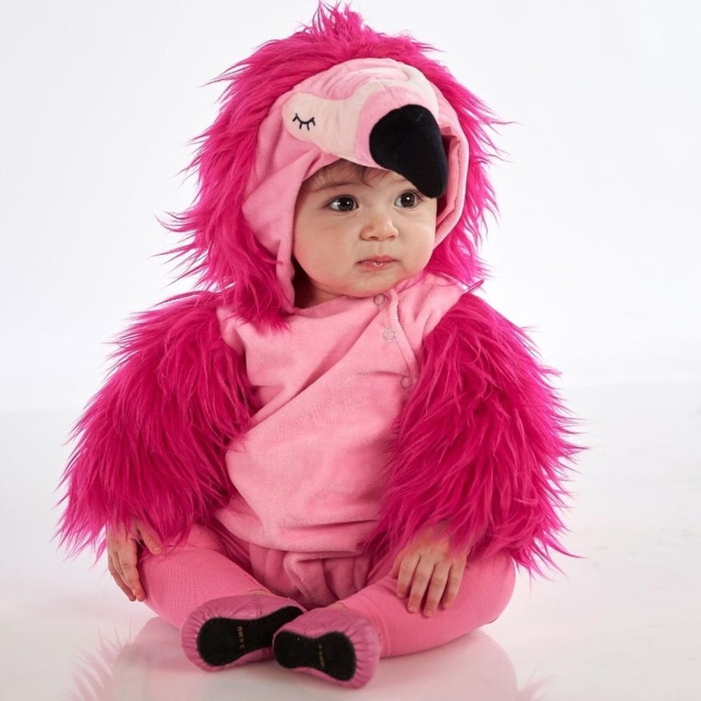 Pottery Barn Kids Fuchsia Flamingo Costume
